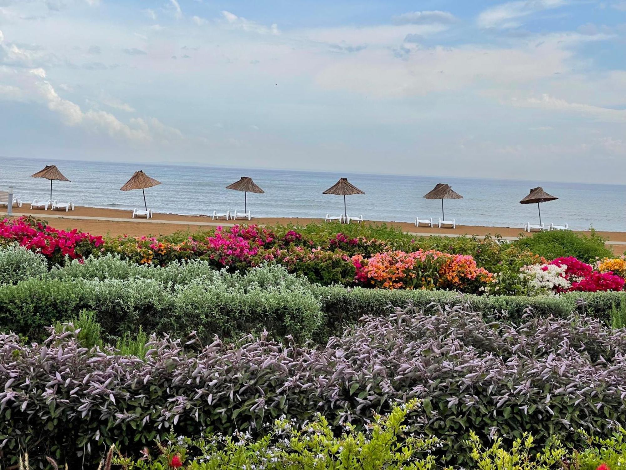 Sweetness Apartment By The Sea Vokolidha Екстер'єр фото